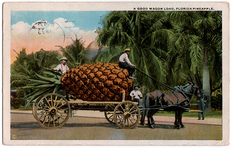 http://tinypineapple.com/a/gallery/a-good-wagon-load.jpg