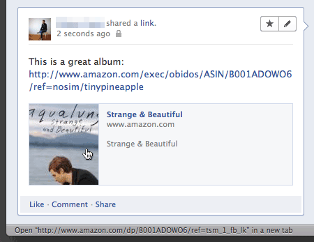 Facebook Link Preview: Amazon Link B